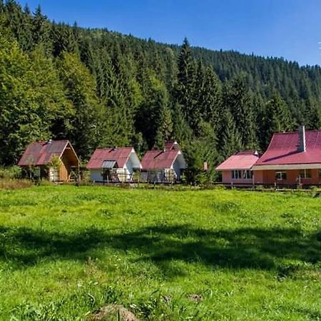 Cabana Valea Stanciului 러키첼레 외부 사진