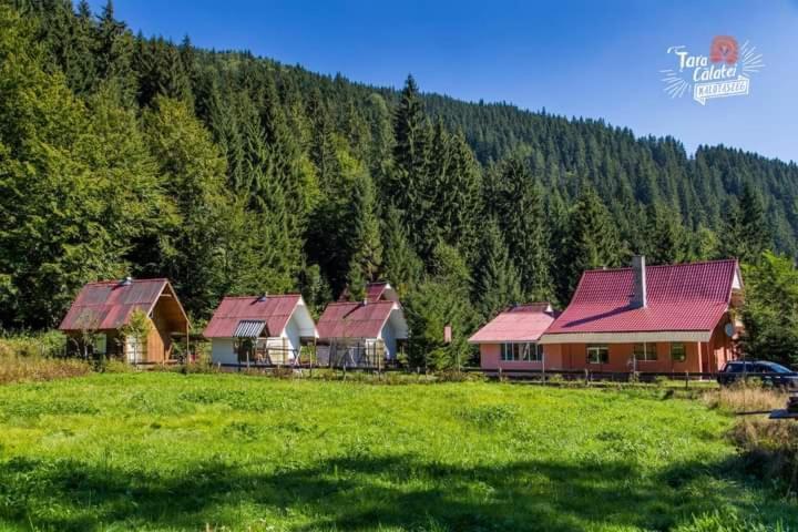 Cabana Valea Stanciului 러키첼레 외부 사진